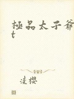 极品太子爷txt封面