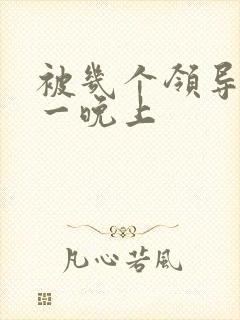 被几个领导玩弄一晚上