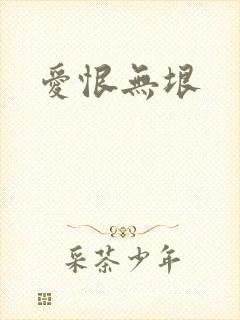 爱恨无垠封面