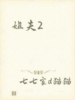 姐夫2