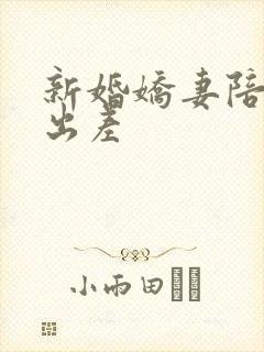 新婚娇妻陪局长出差封面