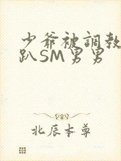 少爷被调教室跪趴SM男男