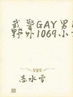 武警GAY男同野外1069小说封面