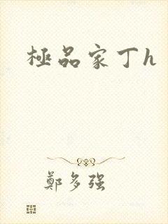 极品家丁h