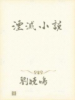 湮灭小说