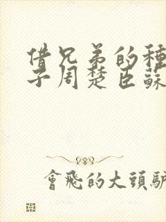 借兄弟的种生孩子周楚臣苏糖