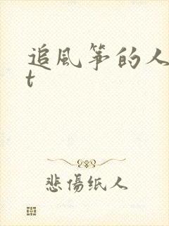 追风筝的人txt封面