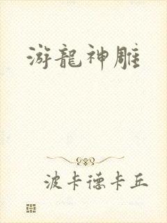 游龙神雕封面