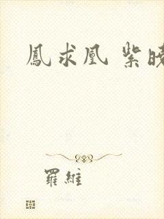 凤求凰 紫晓
