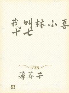 我叫林小喜今年十七
