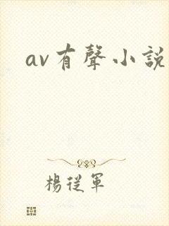 av有声小说