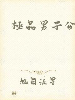 极品男子公寓