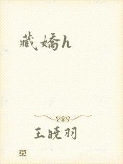 藏娇h封面