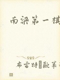 南梁第一棋手封面