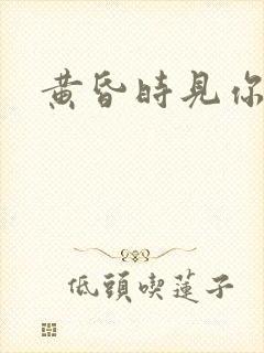 黄昏时见你