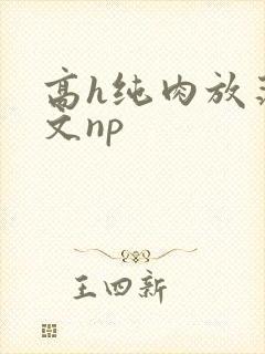 高h纯肉放荡h文np