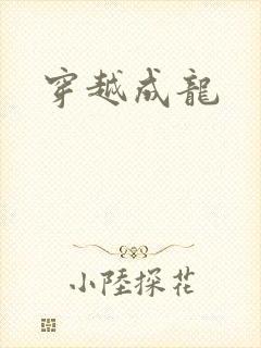 穿越成龙