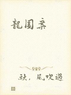 龙图案
