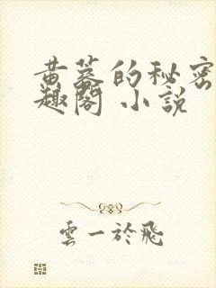 黄蓉的秘密 笔趣阁 小说