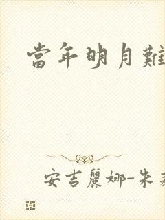 当年明月难寻封面