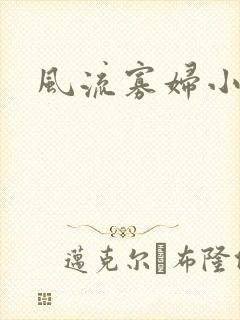 风流寡妇小说