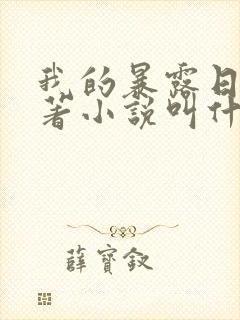 我的暴露日记原著小说叫什么