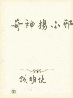 奇神杨小邪封面
