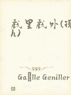 戏里戏外(现场h)