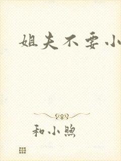 姐夫不要小说