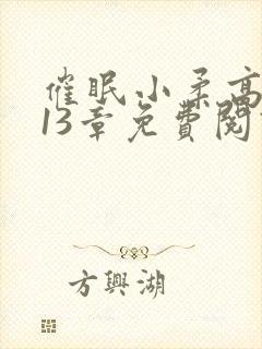 催眠小柔高达第13章免费阅读