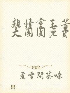 亲情会王芳高敏大团圆免费阅读