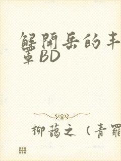 解开岳的丰满奶罩BD
