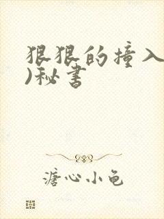 狠狠的撞入(h)秘书