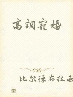 高调宠婚