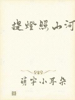 提灯照山河封面