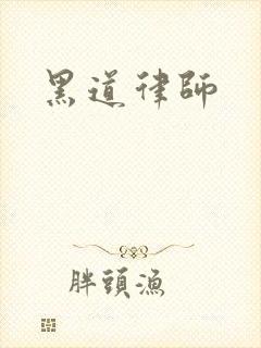 黑道律师封面