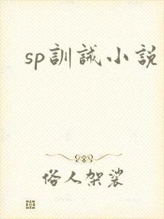 sp训诫小说