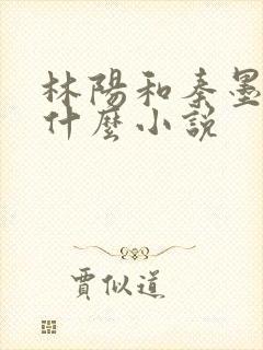 林阳和秦墨浓是什么小说封面