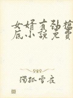 女婿有劲枪枪到底小说免费看