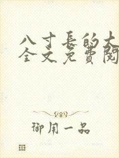 八寸长的大宝贝全文免费阅读