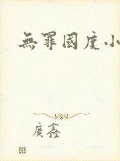 无罪国度小说