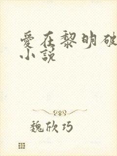 爱在黎明破晓前小说