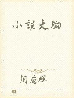 小说大胸封面