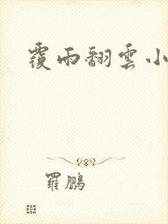 覆雨翻云小说