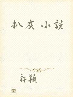 扒灰 小说封面