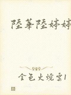 陆华陆婷婷封面