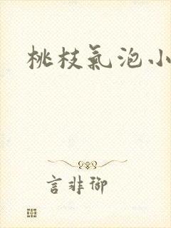 桃枝气泡小说
