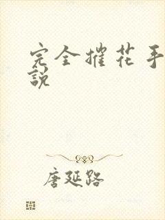 完全摧花手册小说封面