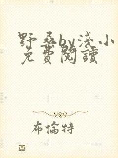 野桑by浅小说免费阅读
