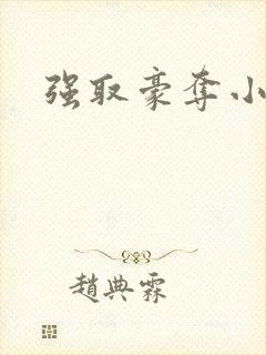 强取豪夺小说封面